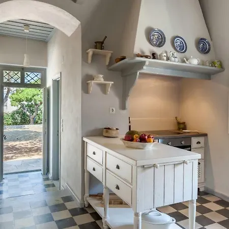Dellagracia Mansion In Poseidonia Syros Villa
