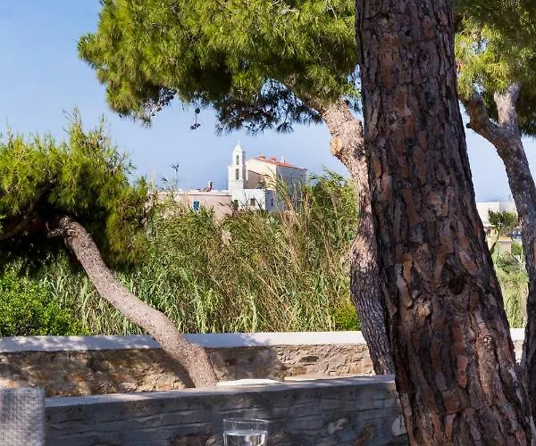 Dellagracia Mansion In Poseidonia Syros *